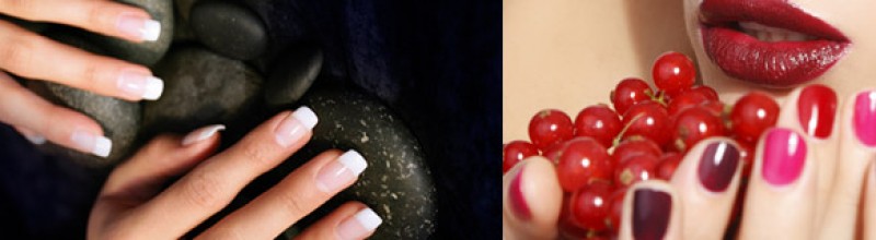 naildesign-professional